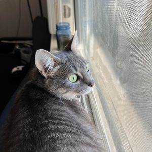 Meet your Posher, Jose